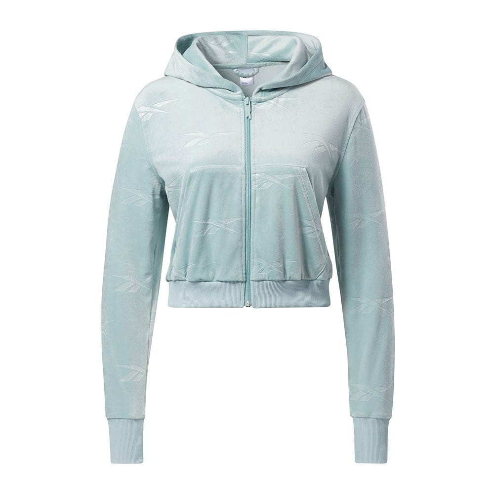 Reebok Classics Energy Q4 Velour Zip-Up Sweatshirt In Seaside Grey