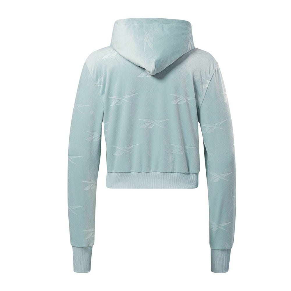Reebok Classics Energy Q4 Velour Zip-Up Sweatshirt In Seaside Grey