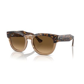 Sunglass - Men