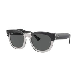 Sunglass - Men